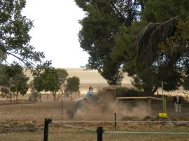 The trick is timing it so the waves of chicken-poop-dust don't cover you. I didn't really get that trick, and got covered. A lot.