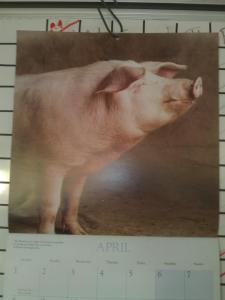 Miss April. It's really just another shot of Miss March, but she's still hot!