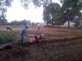 This is me rotary hoeing The Patch.