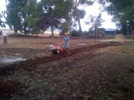 This is me struggling to hold back the rotary hoe on a hard bit on The Patch.