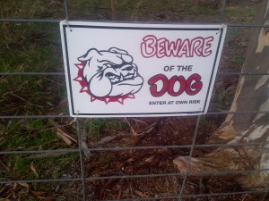 That picture doesn't look a thing like Bruce...