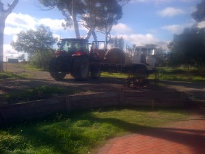 Farmer John hooked us up with some local cheaper hay. He has the best farm toys.