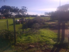View back towards the front of the property.
