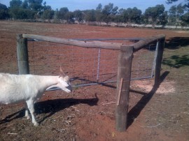 Three-way box section.