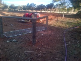 This is more a gratuitous tractor shot than anything else.