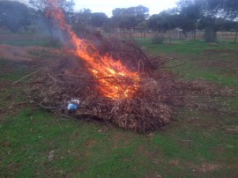 ...as it turns out, it took pretty quickly.