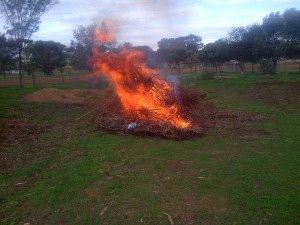 This was only a couple of minutes on.