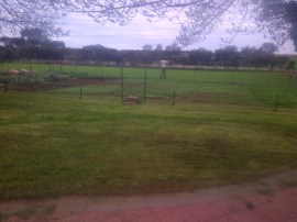 Everything relatively weedless... for once...