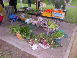 The Gawler Produce Swap. It went well.