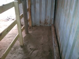 We'll put a heap of straw in here and put up a heat lamp.