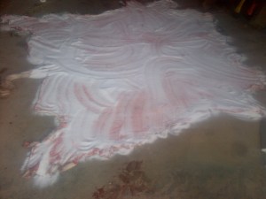 ... so I poured salt all over it.