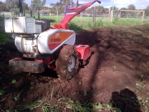 This rotary hoe is a beast!