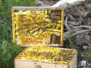 This is just what is stuck in the lid!