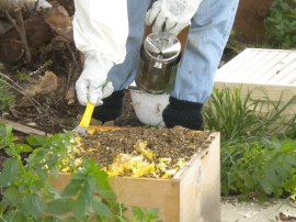 Thankfully the smoker worked...