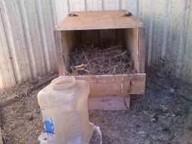 Dad's laying box. This thing worked miracles.