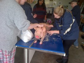 Scoring, oiling, and salting him turned into a family affair.