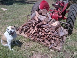 The result! Overseen by Bruce.