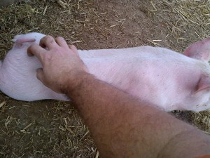 Ahhhhh, that's the business!