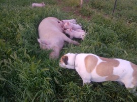 ... and Bruce checking out her thing...