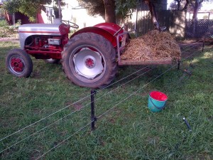 Real farmers don't need no stinking wheelbarrows! 