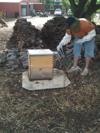 Getting started. And I know how paradoxical the super long gloves are with shorts...