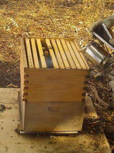 Even with the new super you can see the problem where they start to explode out of the frames.