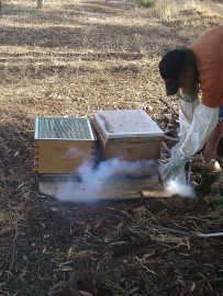 More smoke! WE NEED MORE SMOKE!