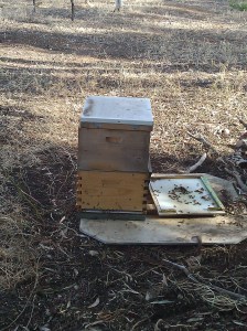 The finished product, looking decidedly wobbly.