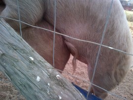 And just in case it wasn't clear, here's a close-up.