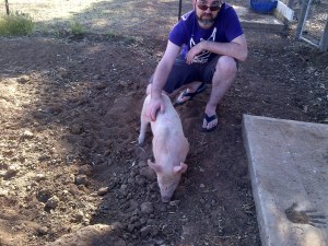 Pete meeting Gianna, his piglet.