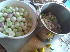 This is about a third of the pickling onions, salted and ready for pickling tomorrow.