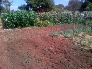 Empty space because many of the things we'd like to grow can't handle Summer out here.