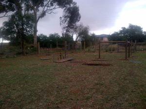 Getting the new meat chook yard started!