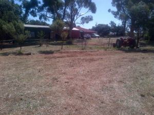 Took down the old fence...