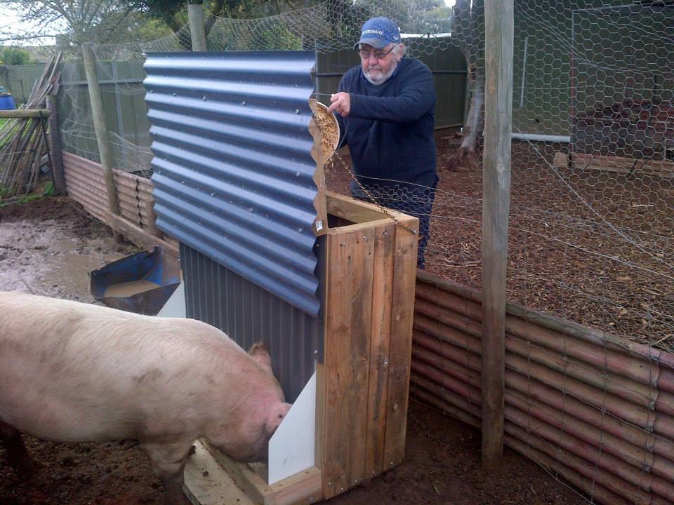 Dad and the first test of the feeder.