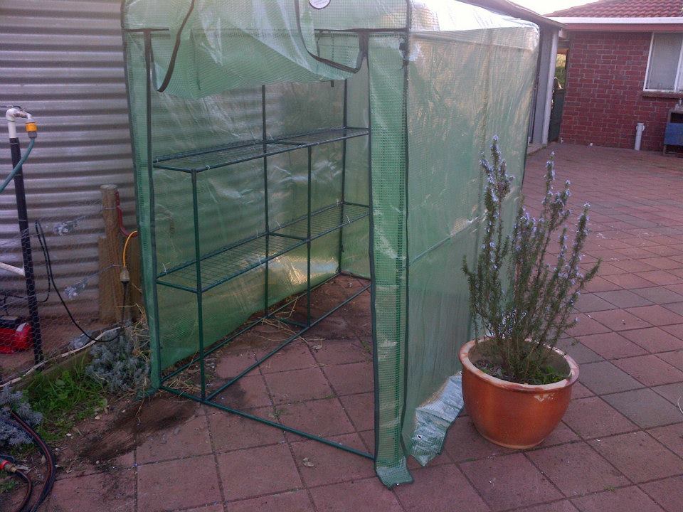 It's surprisingly large.  An adult can pretty easily stand in there and work.