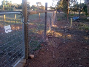 Looking down across the part of the reclaimed paddock that we'll be using as an orchard.
