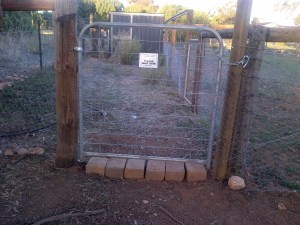 New Meat Chook runs done!