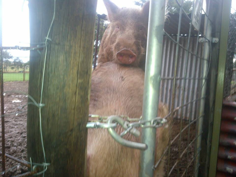 I'm not sure why, but I really like taking shots from this angle when they're doing this.