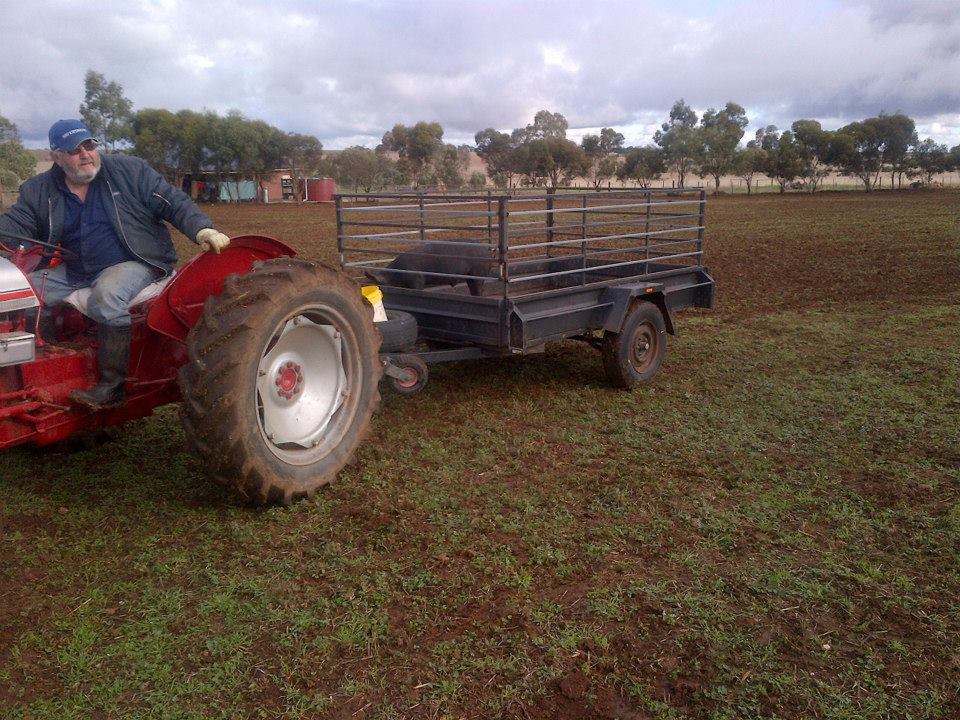 Georgie - the "before shot".