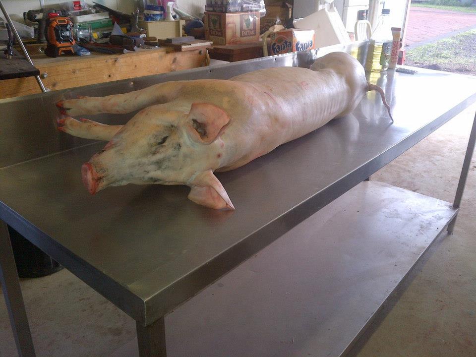 Georgie - the "after shot".