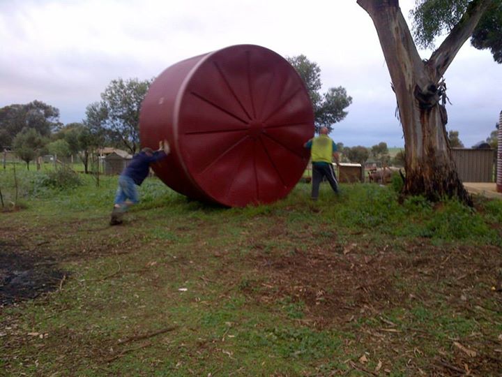 Proof that they made me roll one of these 420kg beasts up the hill on my own.