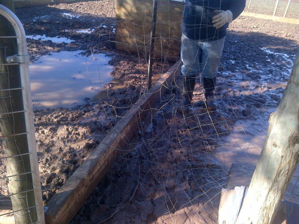 The hole that Bertha made.