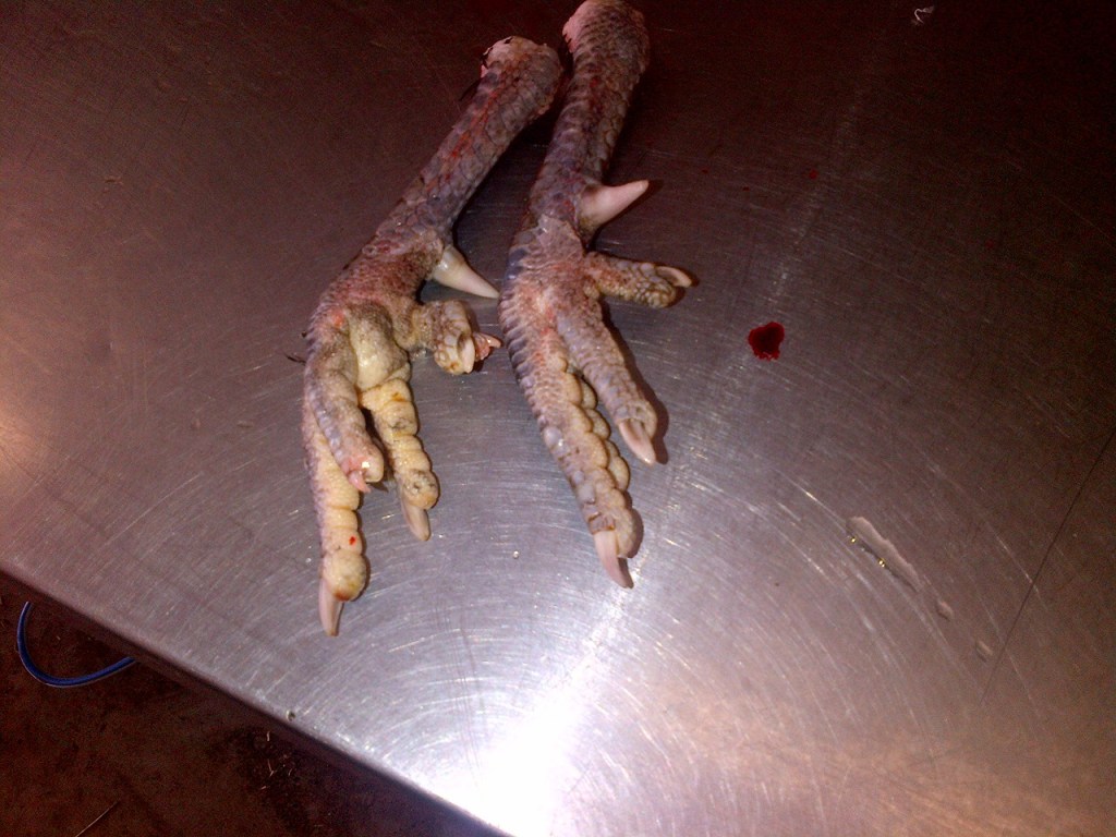 Taking the feet off is surprisingly easy. Some people eat the feet. I've tried them a couple of times, and they're not for me.