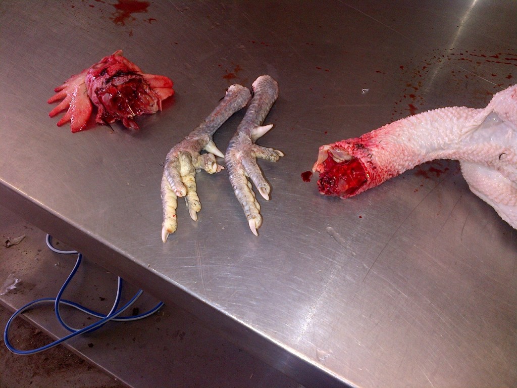 Carcass, feet, head.