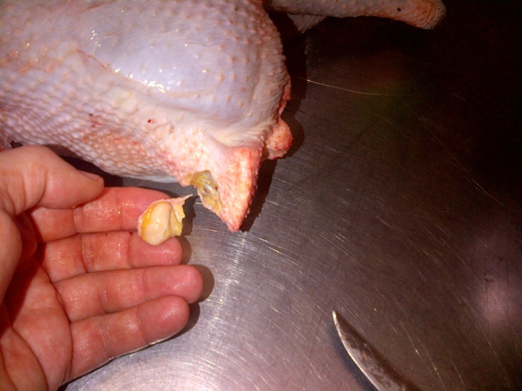 It comes out pretty easily.