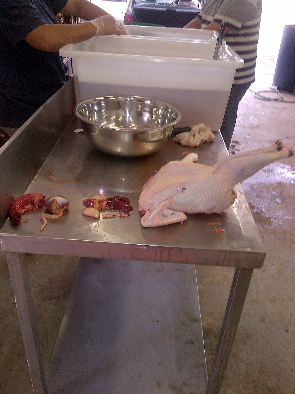 Carcass and offal arranged in order.