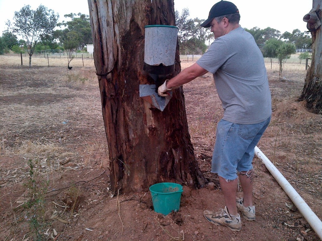 I took their heads off the first time, but most people seem to just cut their throats.