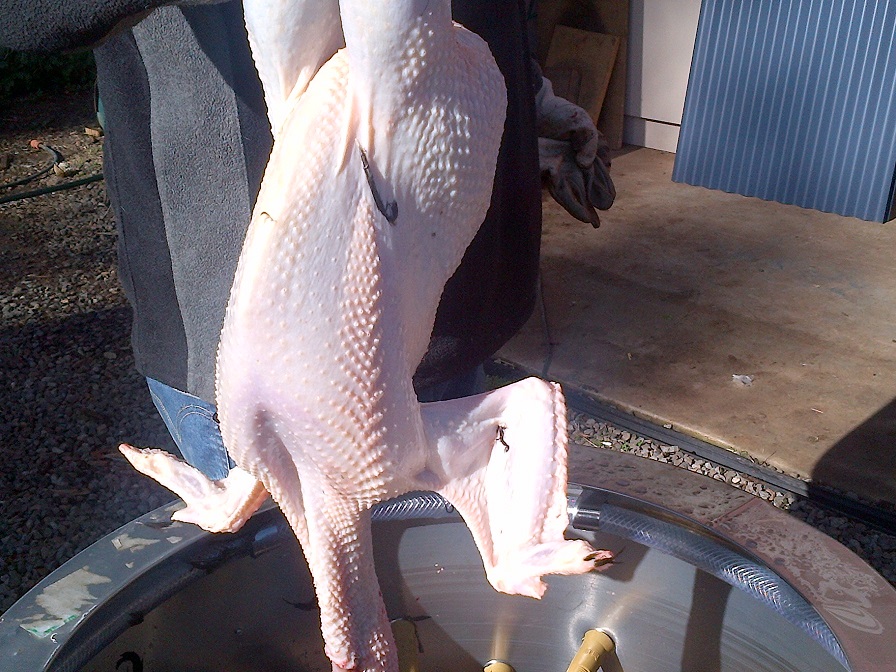 This is the result. So, so, so awesome!