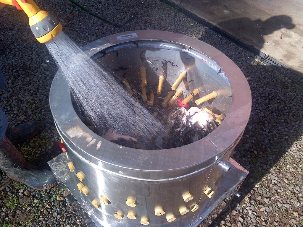 This is around the 20 second mark.